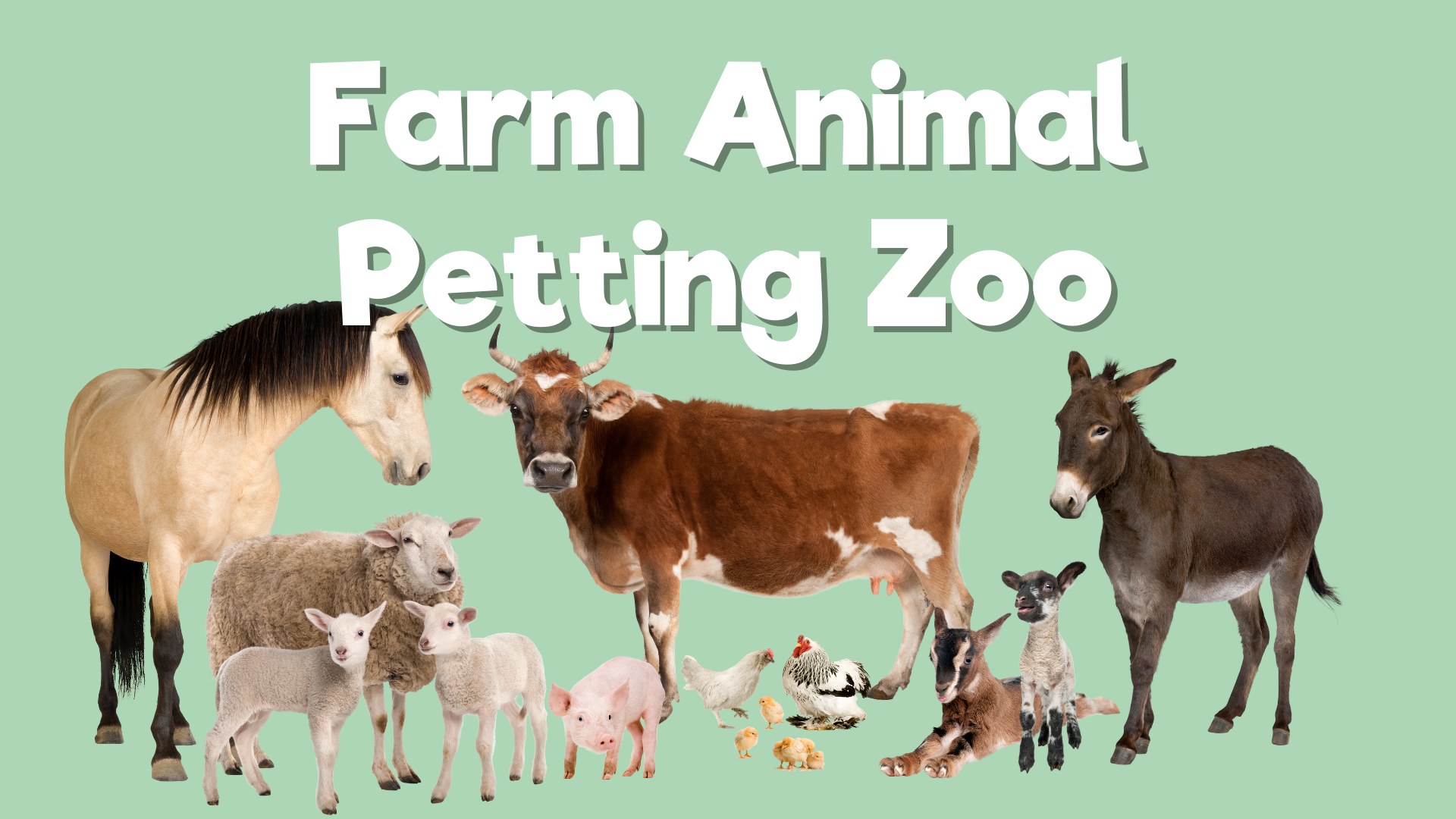 Farm Animal Petting Zoo  