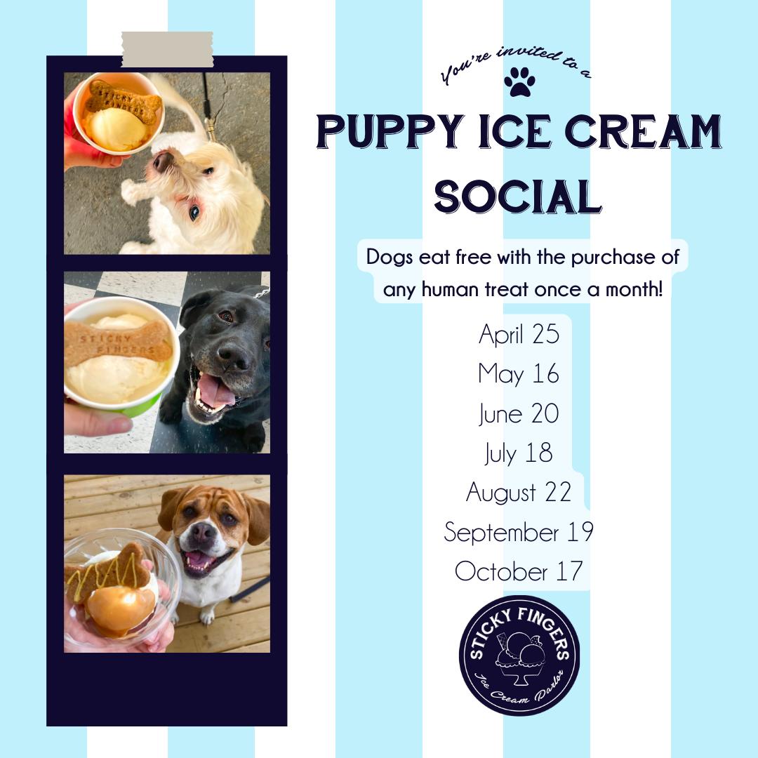 Puppy Ice Cream Social