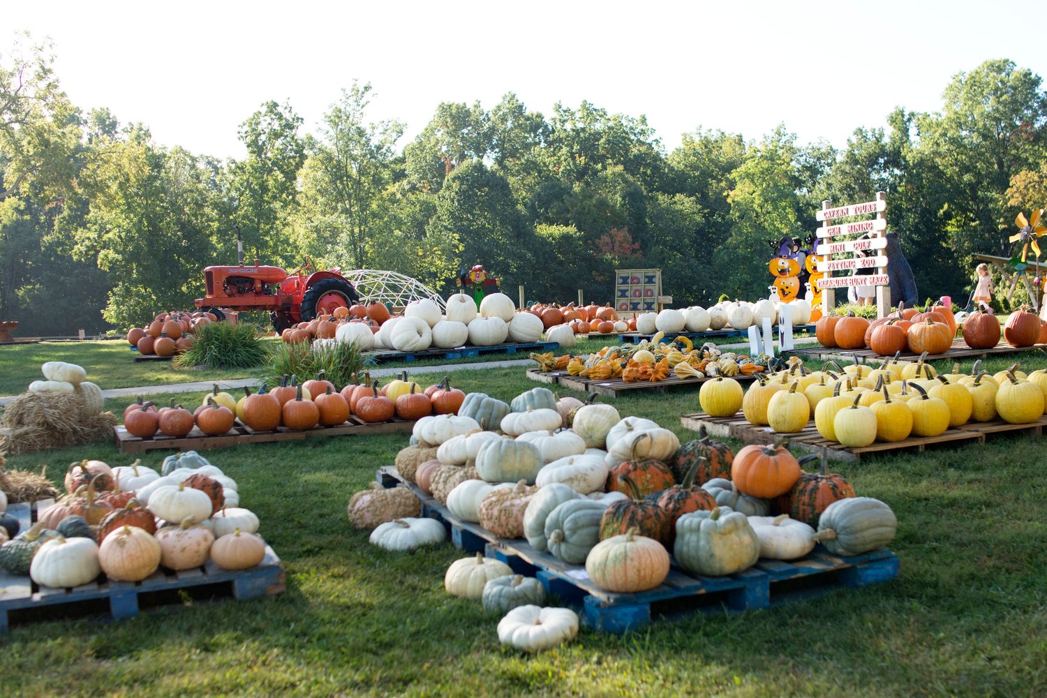 Pumpkins & Fall Fun at Olentangy Caverns